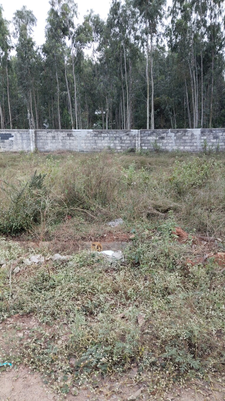 undefined, chandapura  1200 Sq.Ft. Plot In Chandapura Bangalore 9561701
