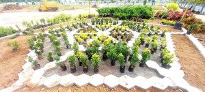 Plot Area in  Plot at Pamarru – for Sale