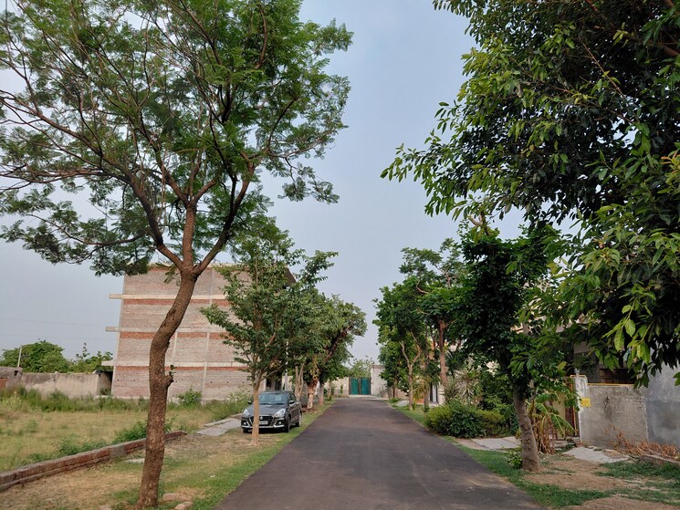 Garden, zestha-bhagirath-vihar-residency  200 Sq.Yd. Plot In Sector 27 Yamuna Expressway Greater Noida 9562014