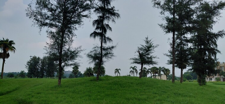 Garden, supertech-golf-country-plots  200 Sq.Yd. Plot In Sector 22b Yamuna Expressway Greater Noida 9562038