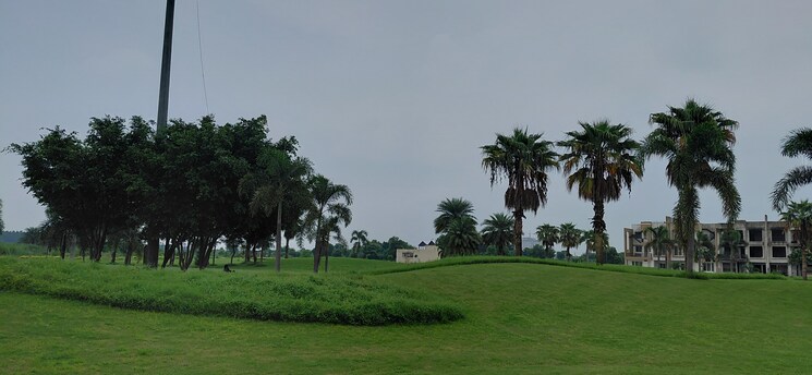 Garden, supertech-golf-country-plots  200 Sq.Yd. Plot In Sector 22b Yamuna Expressway Greater Noida 9562038