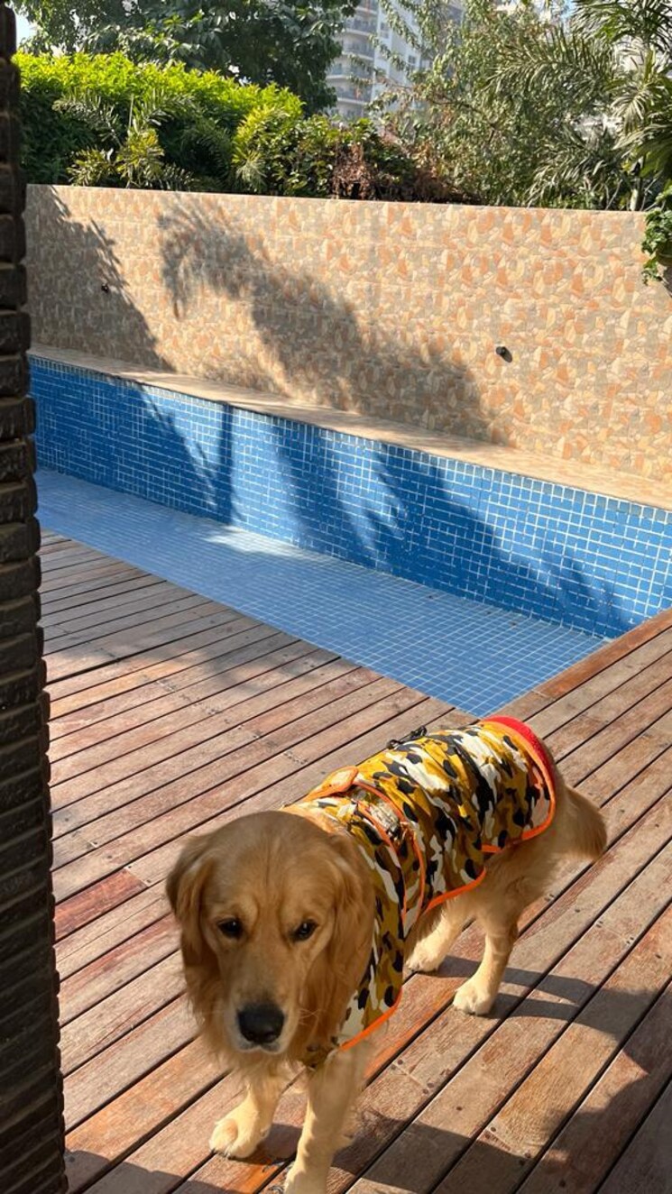 Exterior View, vipul-tatvam-villas 4 Bedroom 360 Sq.Yd. Villa In Sector 48 Gurgaon 9562050