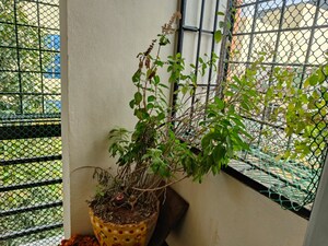 Balcony in 2 BHK Apartment at GYR Enclave, Bowenpally – for Sale