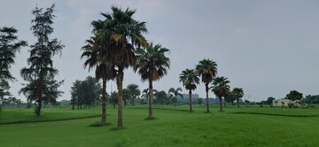  Plot – Garden View at Supertech Golf Country Plots, Sector 22b Yamuna Expressway - for Sale