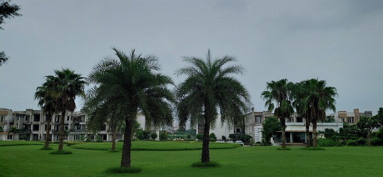 Garden, supertech-golf-country-plots  100 Sq.Yd. Plot In Sector 22b Yamuna Expressway Greater Noida 9562094