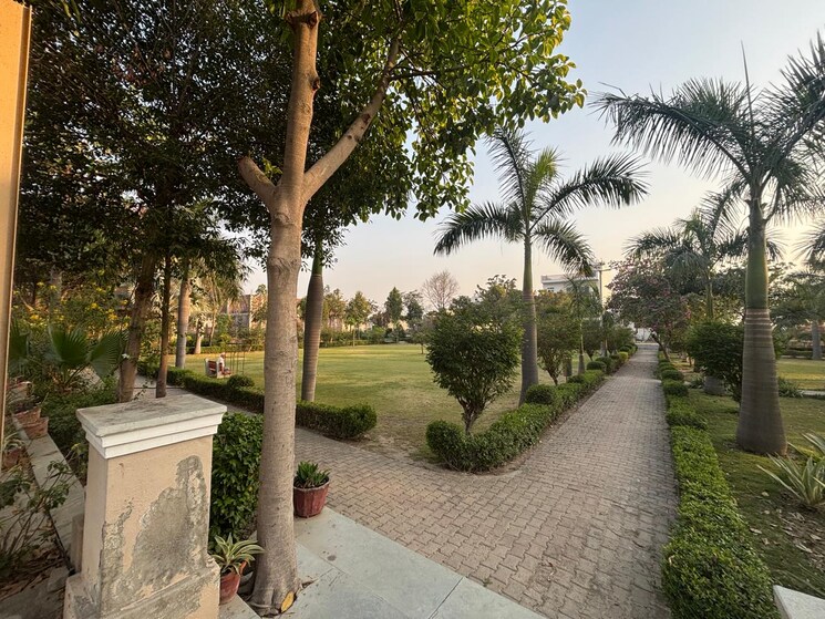 Garden, zestha-bhagirath-vihar-residency  126 Sq.Yd. Plot In Sector 27 Yamuna Expressway Greater Noida 9562327