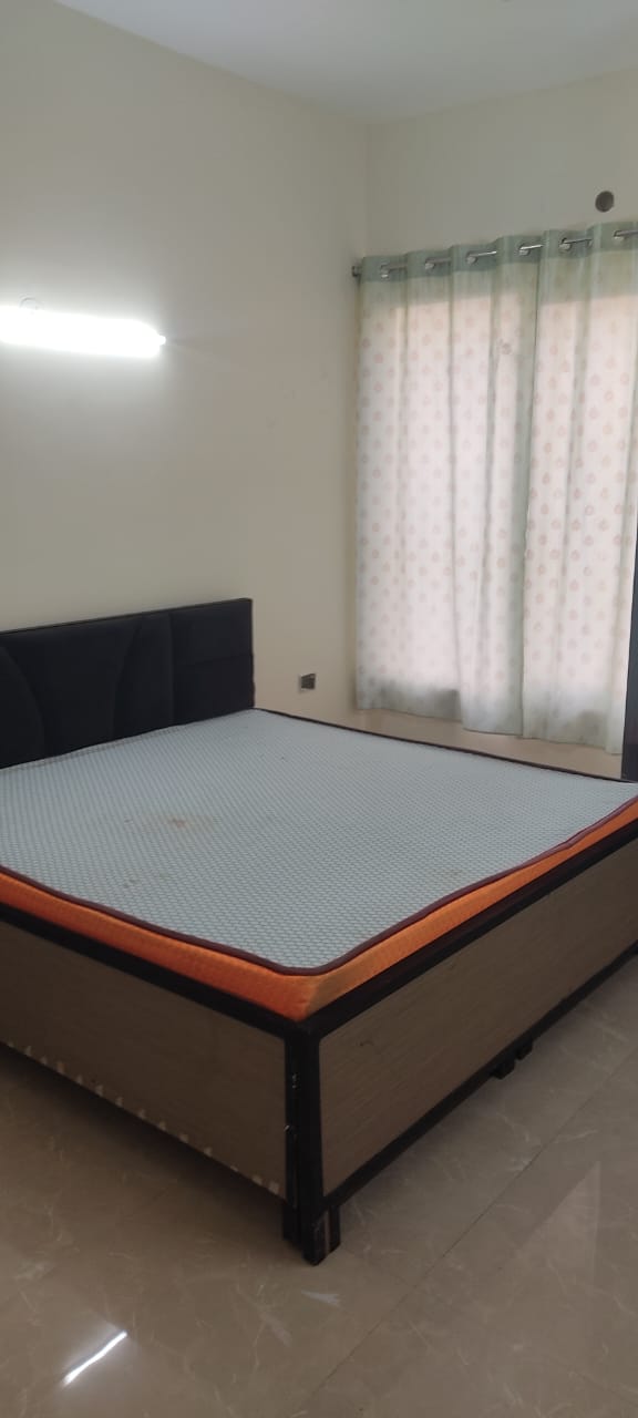 3 BHK Apartment For Rent in Sikka Kimantra Greens