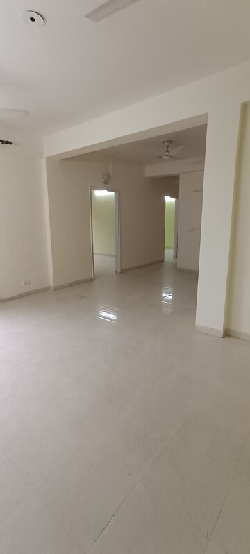 Room in 3 BHK Apartment at Tulip Orange, Sector 70 – for Rent