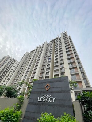 3 BHK Apartment For Rent in Gala Orchid Sky, Shela