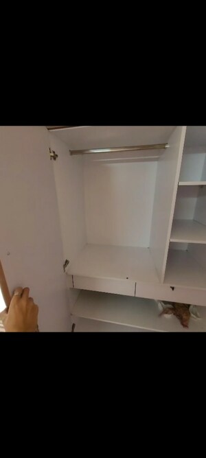 3 BHK Apartment For Rent in Amrapali Golf Homes, Sector 4 Greater Noida