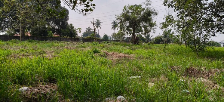 undefined, kakkanad Commercial Land 17429 Sq.Ft. In Kakkanad Kochi 9559514