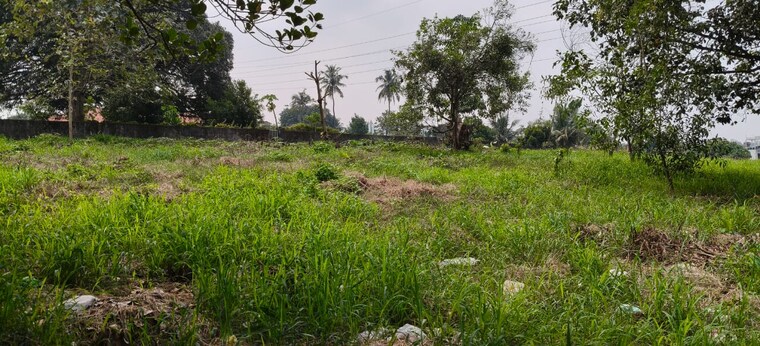 undefined, kakkanad Commercial Land 17429 Sq.Ft. In Kakkanad Kochi 9559514