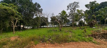Plot Area in  Land at Kakkanad – for Sale