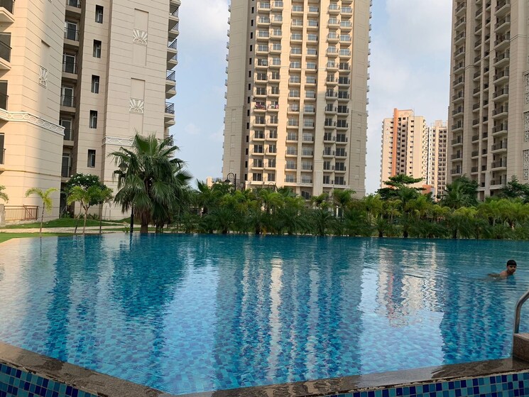 Swimming Pool, ace-edit 1 RK 700 Sq.Ft. Apartment In Sector 22d Yamuna Expressway Greater Noida 9564188