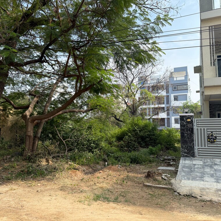 Exterior View, kowkoor  267 Sq.Yd. Plot In Kowkoor Hyderabad 9564209