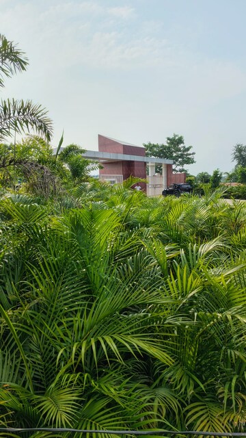  Plot – Exterior View View at Sultanpur - for Sale