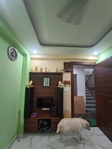 Living Room in 2 BHK Builder Floor at Sector 49 – for Sale