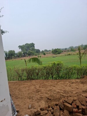 Plot Area in  Land at Vinayak Ganpati Mini Farmhouse, Manesar Sector 1a – for Sale