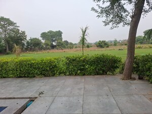 Plot Area in  Land at Vinayak Ganpati Mini Farmhouse, Manesar Sector 1a – for Sale