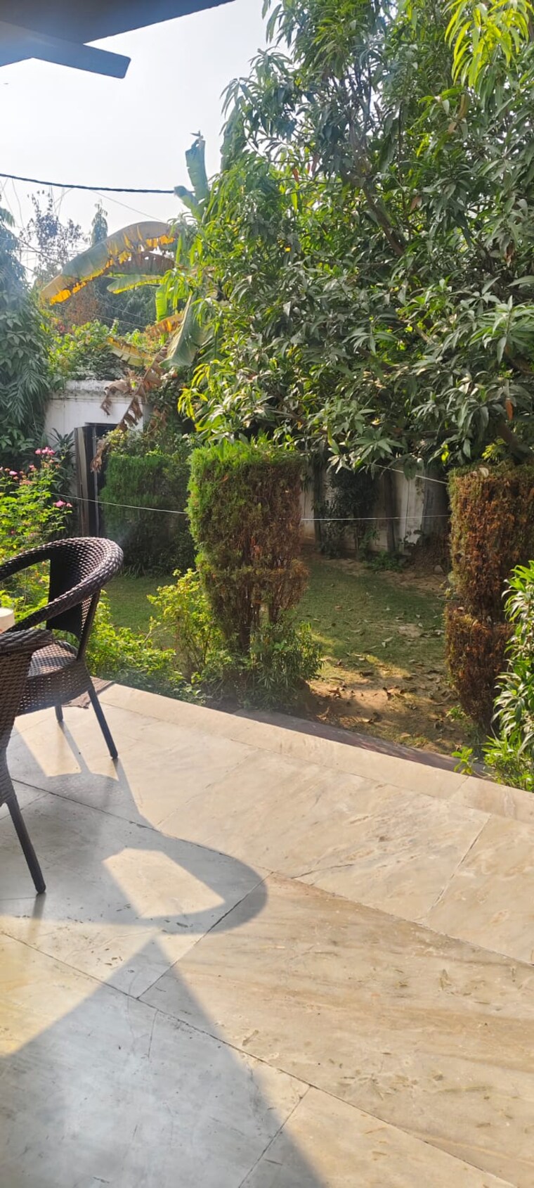 Garden, sainik farm 4 Bedroom 4500 Sq.Ft. Independent House In Sainik Farm Delhi 9564731