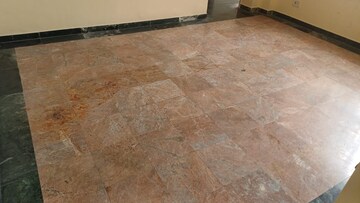 1 BHK Apartment For Rent in Hiranandani Estate Carrara, Ghodbunder Road