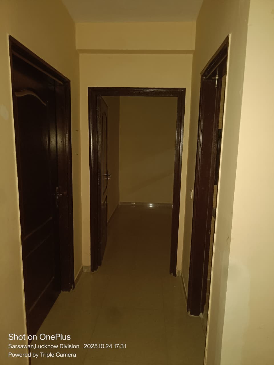 3 BHK Apartment For Rent in Omaxe R2