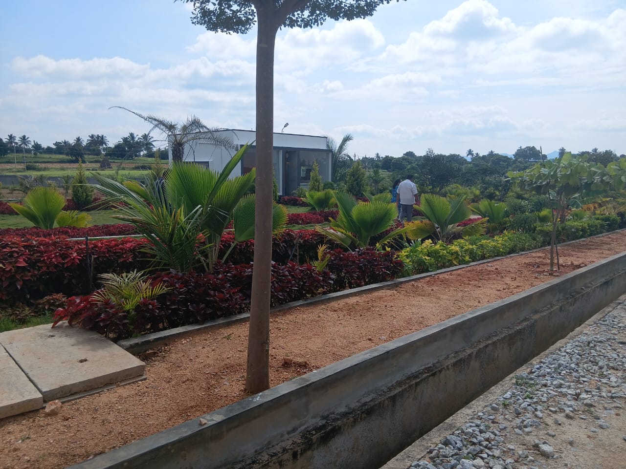 Plot For Sale in Roopa Plots Sale In Chikk