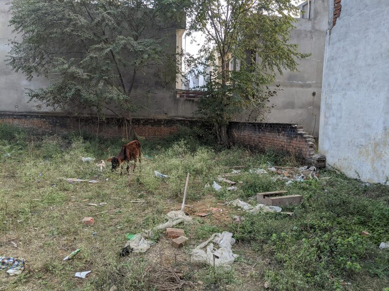 undefined, faizabad road  2000 Sq.Ft. Plot In Faizabad Road Lucknow 9565324