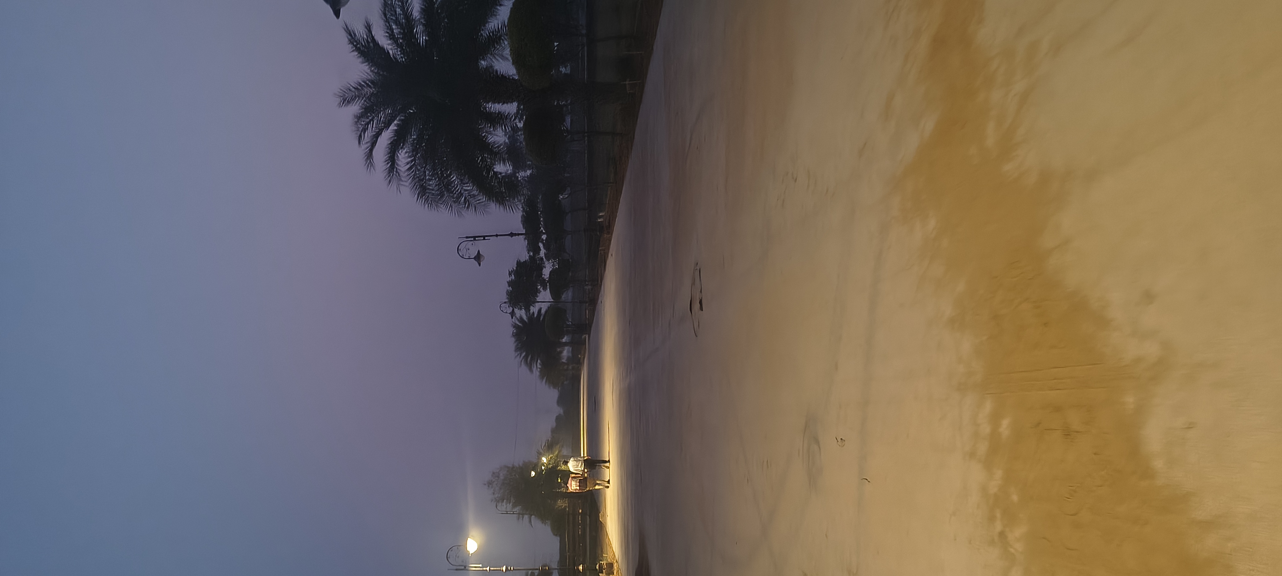 Plot For Sale in Sujanpur