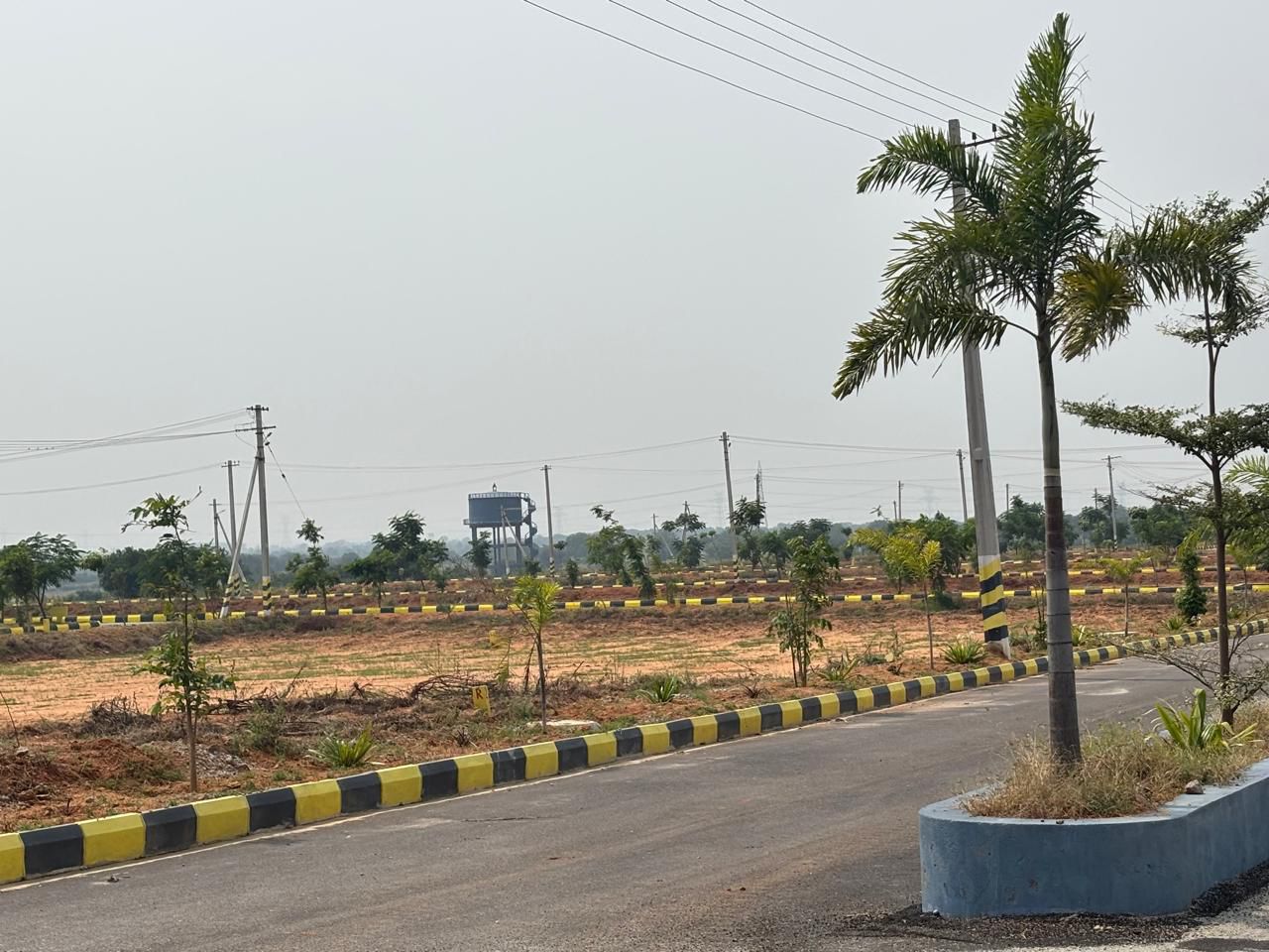 Plot For Sale in Glentree Pharma County