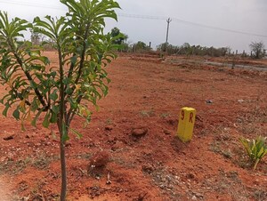 Plot Area in  Plot at Glentree Pharma County, Nandiwanaparthy – for Sale