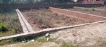 1010 Sq.Ft. Plot in Motiram Adda