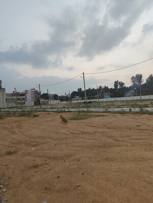 Plot Area in  Plot at Devanahalli Road – for Sale