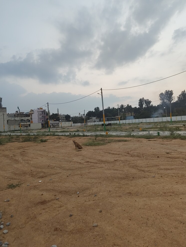 undefined, devanahalli road  900 Sq.Yd. Plot In Devanahalli Road Bangalore 9565767
