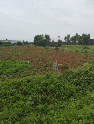Plot Area in  Plot at Devanahalli Road – for Sale