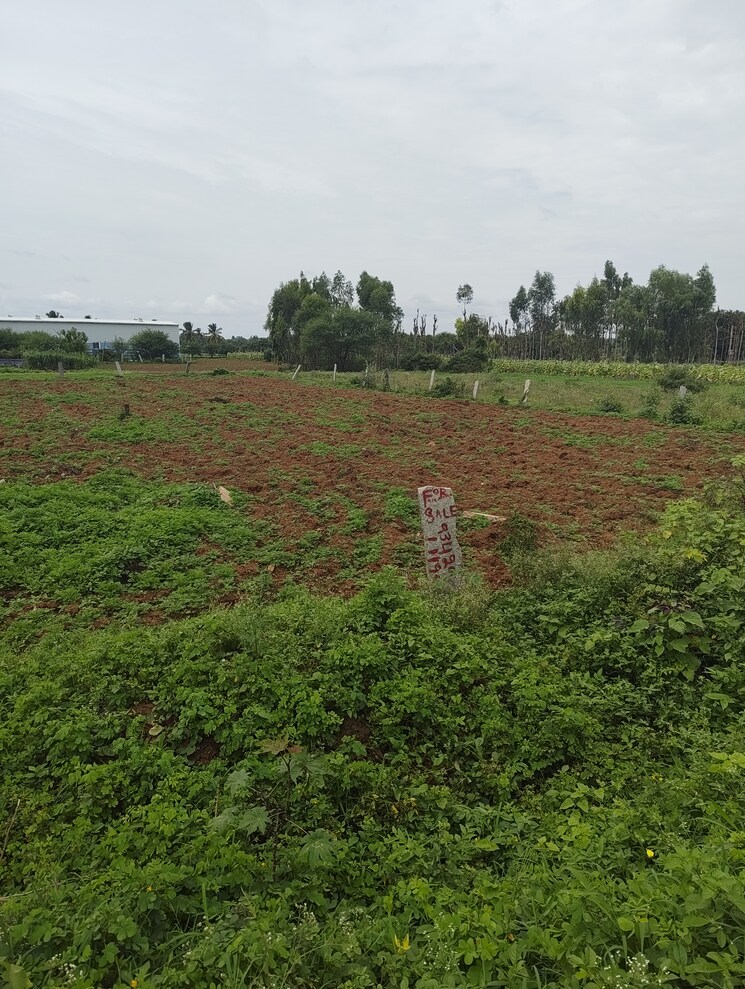 undefined, devanahalli road  1500 Sq.Yd. Plot In Devanahalli Road Bangalore 9565806
