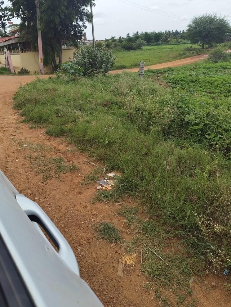 undefined, devanahalli road  1500 Sq.Yd. Plot In Devanahalli Road Bangalore 9565806