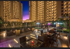 3 BHK Apartment For Sale in BPTP Terra, Sector 37d