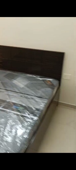 2 BHK Apartment For Rent in Signature Global The Millennia, Sector 37d