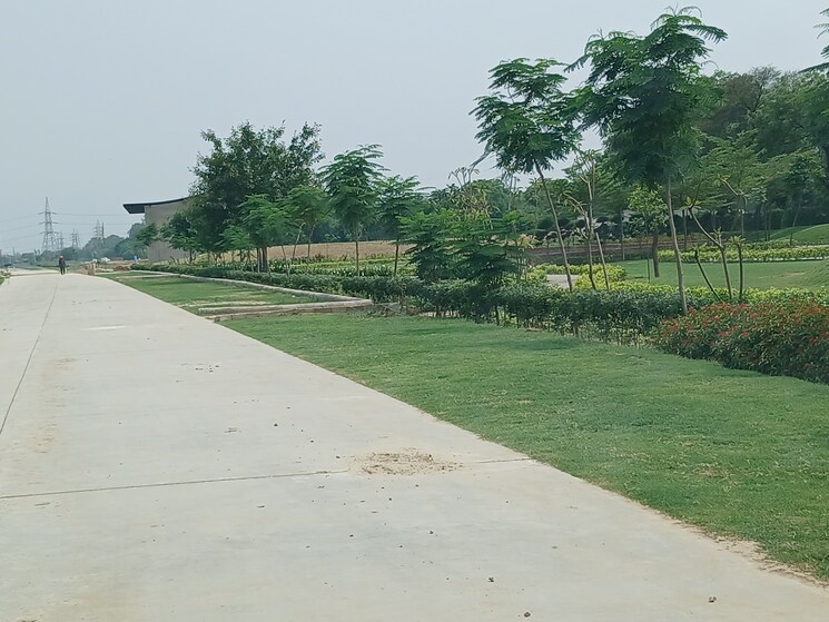 undefined, mansha-orchid  157 Sq.Yd. Plot In Sector 110 Faridabad 9565990