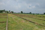 186 Sq.Yd. Plot in Jewar