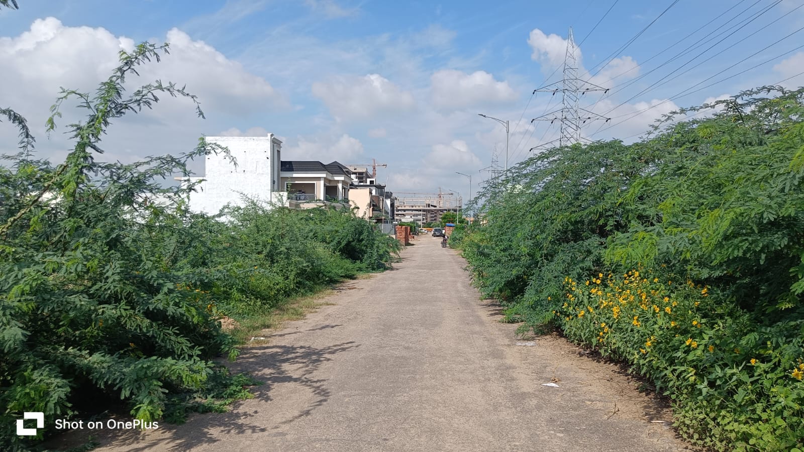 Plot For Sale in Sector 82