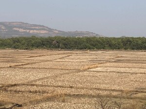 Plot Area in  Plot at Chirle – for Sale