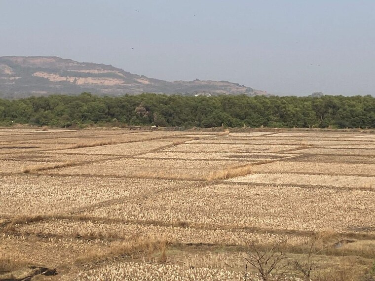 undefined, chirle  4000 Sq.Ft. Plot In Chirle Navi Mumbai 9566920