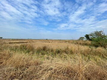 Plot Area in  Plot at Chirle – for Sale