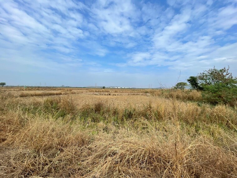 undefined, chirle  4000 Sq.Ft. Plot In Chirle Navi Mumbai 9566920