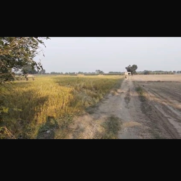 Plot Area in  Plot at Bapauli  – for Sale