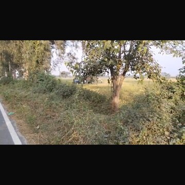 Plot Area in  Plot at Bapauli  – for Sale