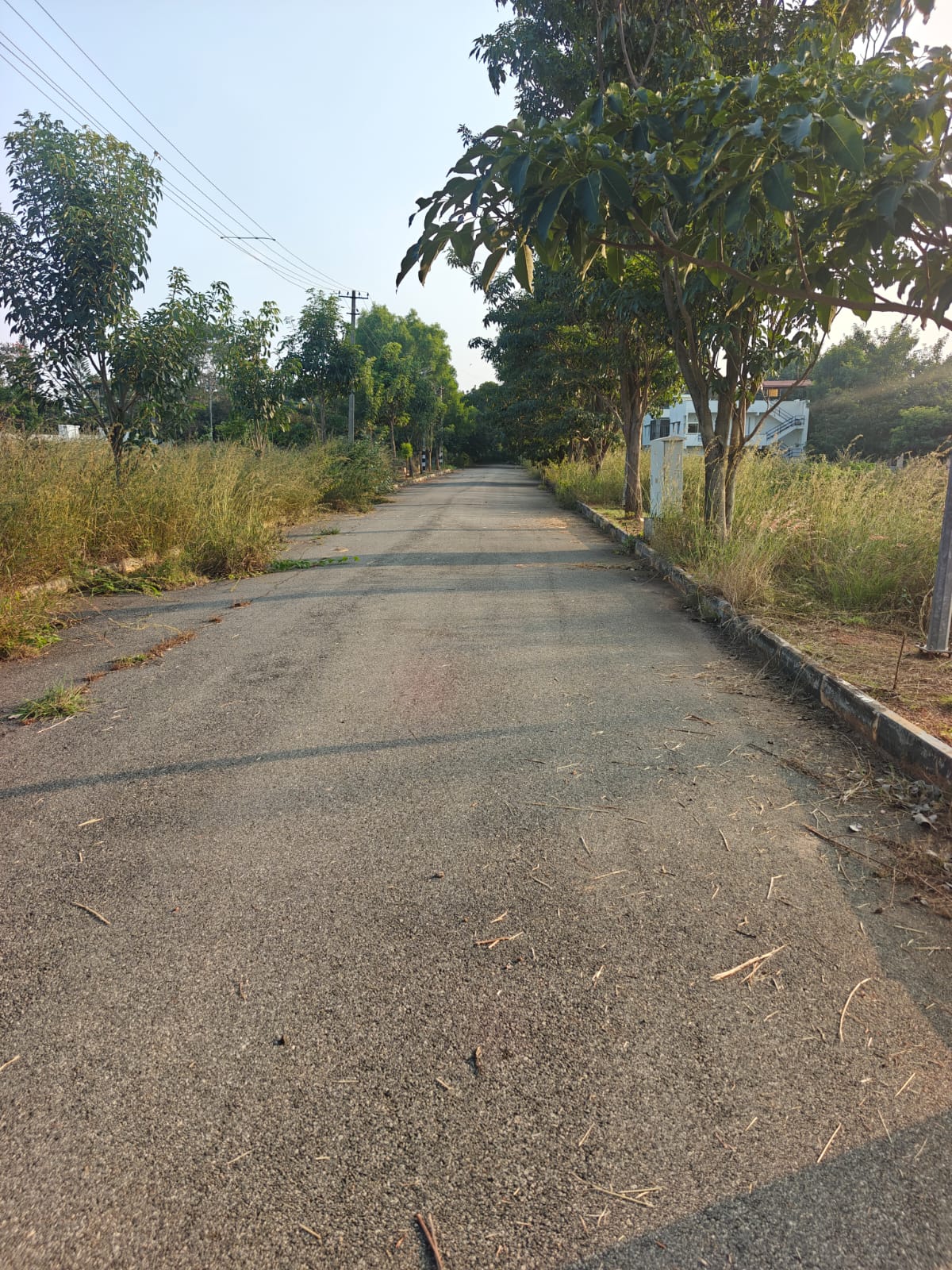 Plot For Sale in Sarjapur