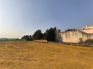 Plot Area in  Plot at Pataudi – for Sale
